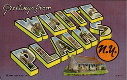 Greetings From White Plains New York Postcard Postcard