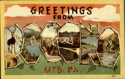 Greetings From Pocono Mts Poconos, PA Postcard Postcard