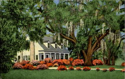 Old Southern Home Amid Mobile, AL Postcard Postcard