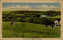 Greetings From Eudora Arkansas Postcard Postcard