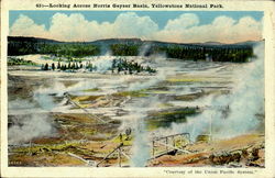 Looking Across Norris Geyser Basin, Yellowstone Park Postcard