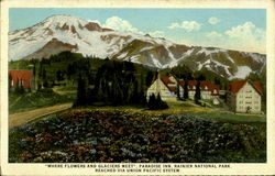 Where Flowers And Glaciers Meet, Rainier National Park Postcard