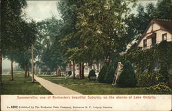 One of Rochester's Beautiful Suburbs on the Shores of Lake Ontario Summerville, NY Postcard Postcard Postcard