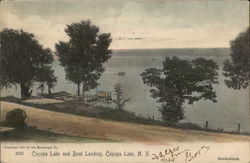 Cayuga Lake and Boat Landing Postcard