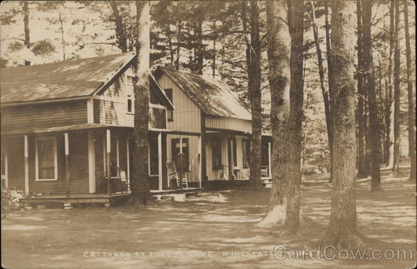 Cottages at Forest Lake Winchester, NH Postcard
