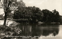 Maple Wood Tourist Court Danbury, CT Postcard Postcard Postcard