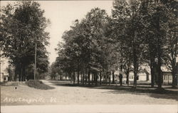 View of Town, Ascutneyville Weathersfield, VT Postcard Postcard Postcard