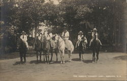 The Horses, Sargent Camp Hancock, NH Postcard Postcard Postcard