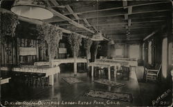 Dining Room, Olympus Lodge Postcard