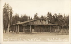 Johnson's Rustic Nite Club Webb Lake, WI Postcard Postcard Postcard