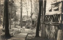 Rustic Log Cabins in the Forest Landscapes Postcard Postcard Postcard