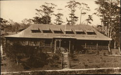 Log Lodge in Woods Postcard