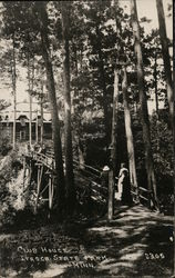 Club House, Itasca State Park Postcard