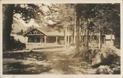 Wooded Log Cabin Postcard