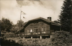 Lodge in Woods Postcard