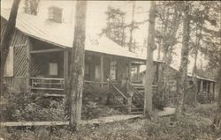 Rustic Cabins in the Forest Postcard