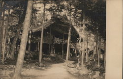 Rustic Lodge in Woods Postcard