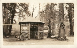 Maloney's Grove Postcard