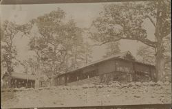 Cabin Postcard