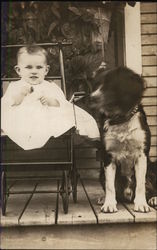 Baby in Carriage and Dog Postcard