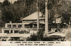 Mt. Lemmon Lodge Near Tucson Postcard