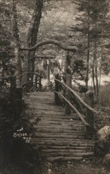 Log Bridge in Park "The Bridge Pico" Postcard