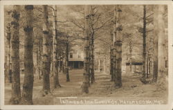 Tallwood Inn Grounds Maranacook, ME Postcard Postcard Postcard