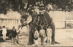 Riding an Elephant Postcard