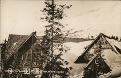 Paradise Lodge Postcard