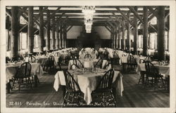 Paradise Inn, Dining Room Mount Rainier National Park, WA Postcard Postcard Postcard