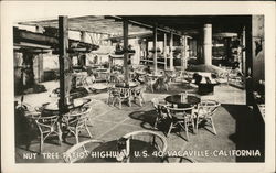 Nut Tree Patio, Highway U.S. 40 Postcard