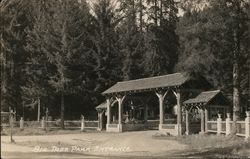 Big Tree Park Entrance Santa Cruz, CA Postcard Postcard Postcard