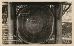 Log Slice Showing Age Rings, Muir Woods National Monument Mill Valley, CA Postcard Postcard Postcard