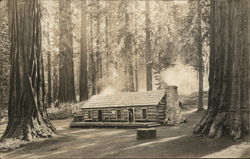 Galen Clark cabin at the Mariposa Grove Yosemite National Park Postcard Postcard Postcard