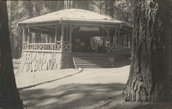 "House in the Big Trees" Yosemite National Park Postcard Postcard Postcard