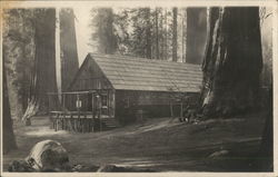 Rustic Hotel in Summer Yosemite National Park Postcard Postcard Postcard