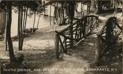 Rustic Bridge and Lovers Walk Postcard