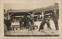 Mansfield Fair Bear Show 1908 Pennsylvania Bears Postcard Postcard Postcard