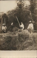 Harvesting Hay Farming Postcard Postcard Postcard