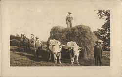 Bringing In The Hay Farming Postcard Postcard Postcard