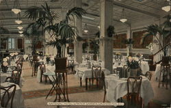 National Hotel Winter Garden Postcard