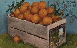 Sending a Box of Oranges from California Postcard