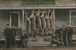 Killed Near Mt. Kineo, Kineo Store Maine Hunting Postcard Postcard Postcard