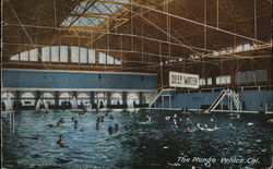 The Plunge, Swimming Pool Postcard