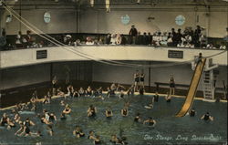 The Plunge, Swimming Pool Postcard