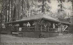 Big Tree Club House, Big Tree Grove Postcard