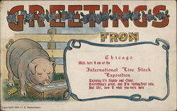 Greetings from Chicago, International Livestock Exposition Illinois Postcard Postcard Postcard