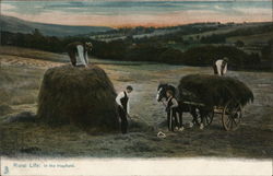 Rural Life: In The Hayfield Farming Postcard Postcard Postcard