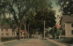 Archibald Street Salem, NY Postcard Postcard Postcard