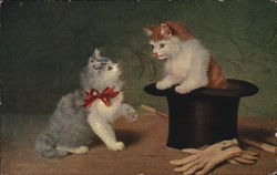 Kitten in a Hat, and Kitten in a Bow Postcard